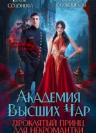 Академия Высших Чар Проклятый принц для некромантки