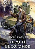Андрей Белянин Орден бесогонов Фантастический роман