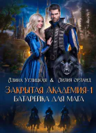 Батарейка для мага