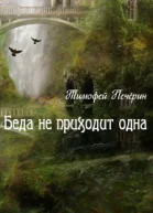 Беда не приходит одна СИ