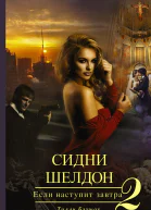 Бэгшоу Тилли Сидни Шелдон  Если наступит завтра  2  роман