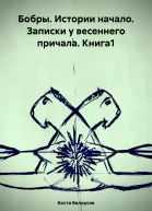 Бобры Истории начало Записки у весеннего причала Книга1