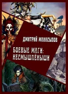 Боевые маги несмышлёныши СИ