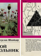 Богуслав Шнайдер Золотой треугольник