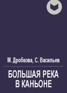 Большая река в каньоне