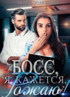 Босс я кажется рожаю