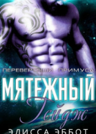 Бунтарь Гейдж ЛП