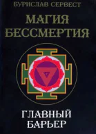 Бурислав Сервест Магия бессмертия Главный барьер
