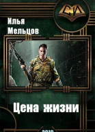 Цена жизни СИ