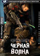 Черная волна СИ