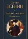 Черный человек Поэмы проза