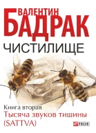 Чистилище роман в 2х кн  Кн 2 Тысяча звуков тишины Sattva  Валентин Бадрак художоформитель Д А Самойленко