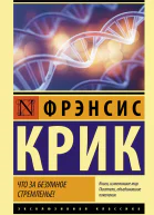 Что за безумное стремленье
