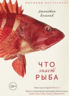 Что знает рыба Внутренний мир наших подводных собратьев
