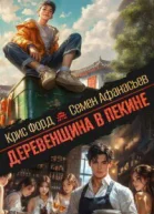 Деревенщина в Пекине 3 СИ