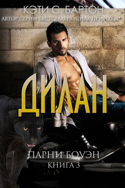 Дилан ЛП