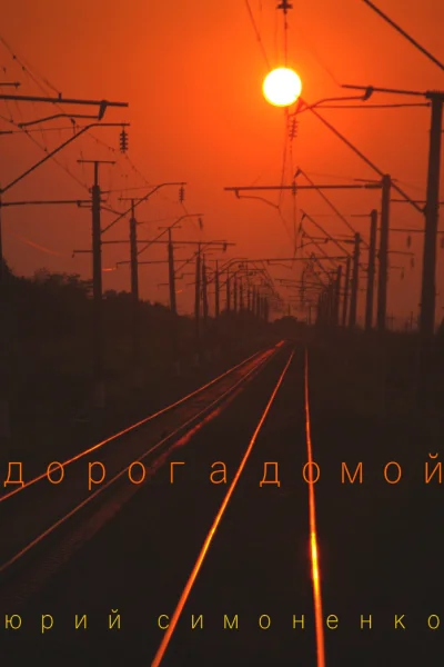 Дорога домой