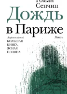 Дождь в Париже