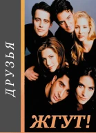 Друзья Friends все сезоны Жгут