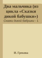 Два мальчика из цикла Сказки дикой бабушки