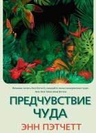 Э Пэтчетт Предчувствие чуда
