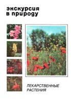 Экскурсия в природу Лекарственные растения Выпуск 1