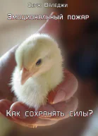 Эмоциональный пожар Как сохранять силы