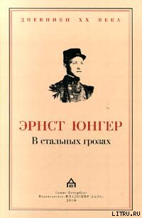 Эрнст Юнгер В стальных грозах