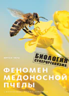 Феномен медоносной пчелы Биология суперорганизма