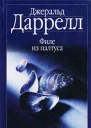 Филе из палтуса илл