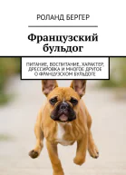 Французский бульдог Питание воспитание характер дрессировка и многое другое о французском бульдоге