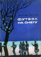 Футбол на снегу