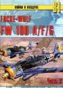FW190 AFG Часть 2