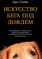Гарт Стайн Искусство бега под дождем
