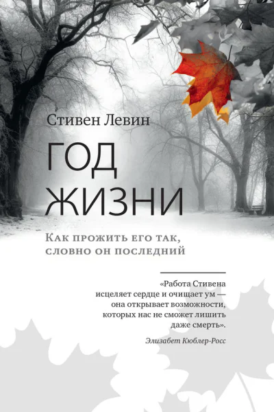 Год жизни Как прожить его так словно он последний
