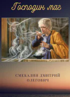 Господин маг