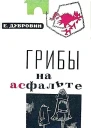 Грибы на асфальте