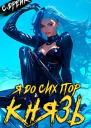 Я до сих пор князь Книга XXII