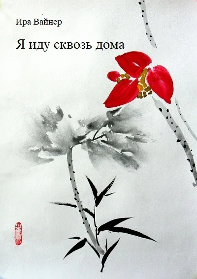 Я иду сквозь дома СИ