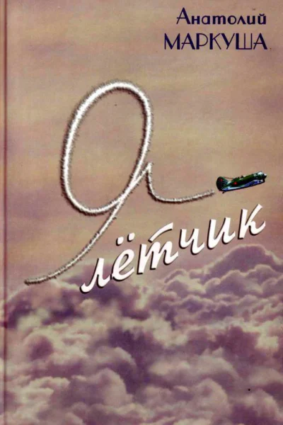 Я  лётчик