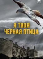 Я твоя черная птица