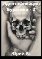 Идентификация Буратино  2
