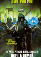 Играть чтобы жить Книга 9 Дорога домой