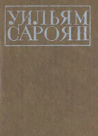 Игроки в пингпонг