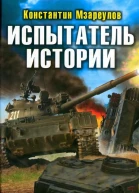 Испытатель истории Войны и миры попаданцев