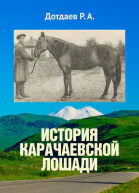 История карачаевской лошади