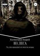 Из леса
