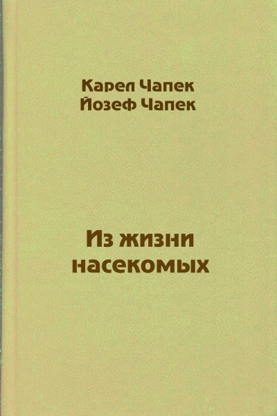 Из жизни насекомых
