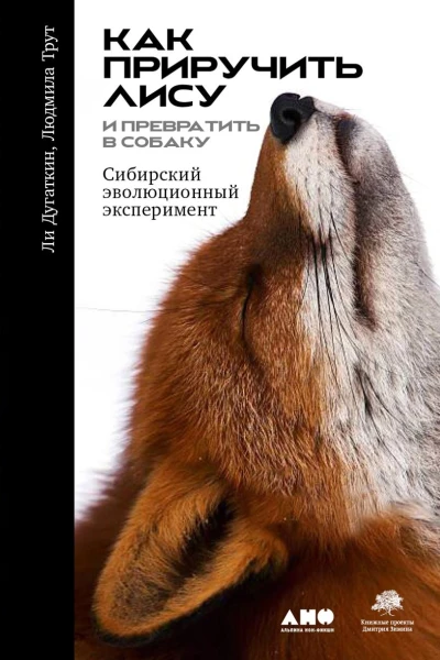 Как приручить лису и превратить её в собаку Сибирский эволюционный эксперимент