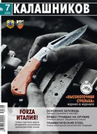 Калашников Оружие боеприпасы снаряжение 2006 7 8